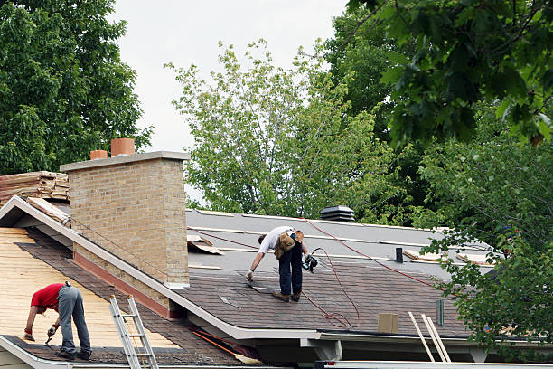 Roof Gutter Cleaning in Crossville, AL